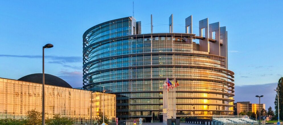 Az Európai Parlament szerepzavarban van