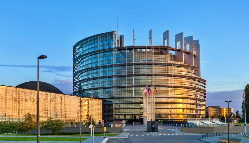 Az Európai Parlament szerepzavarban van